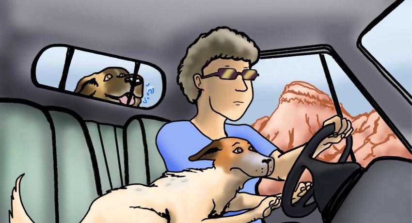 Rescue Dog's Journey-Page 16