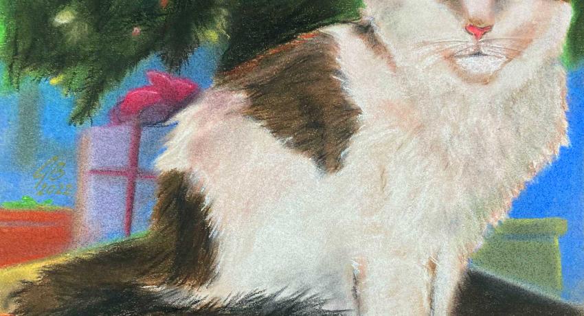 Skittles, the Main Coon