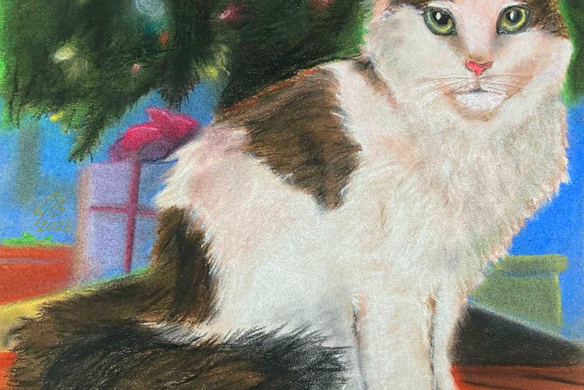 Skittles, the Main Coon