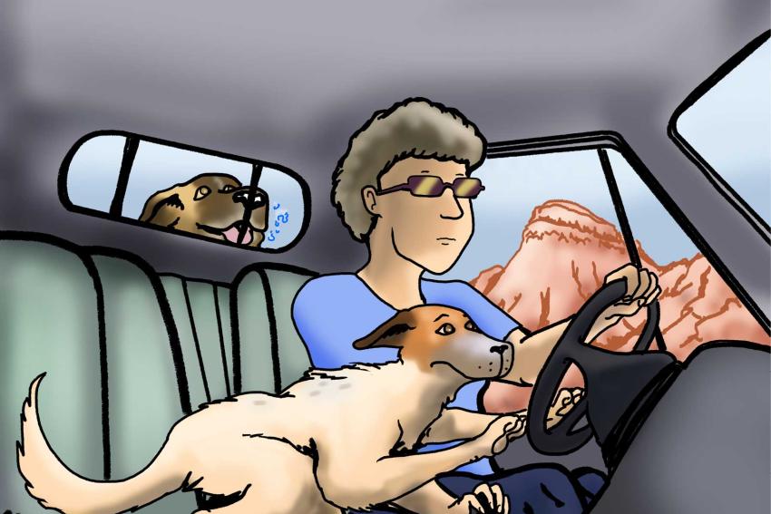 Rescue Dog's Journey-Page 16